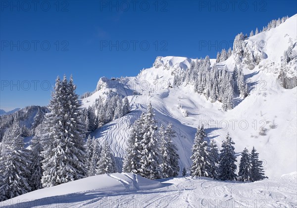 Latschenkopf and Idealhang