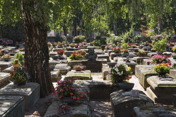 Old graves at the historic St. Rochus Cemetery