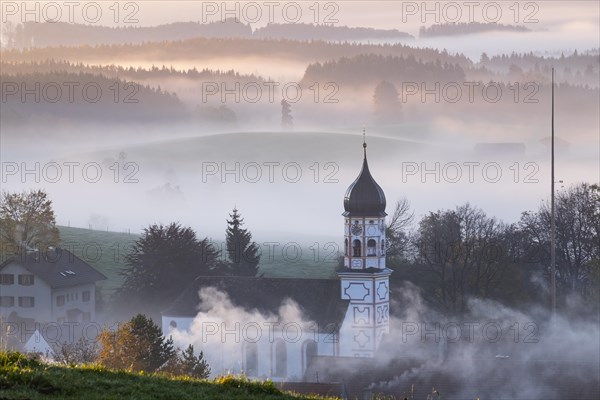 Aidling in morning fog at sunrise