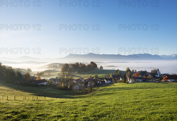 Aidling with fog in autumn