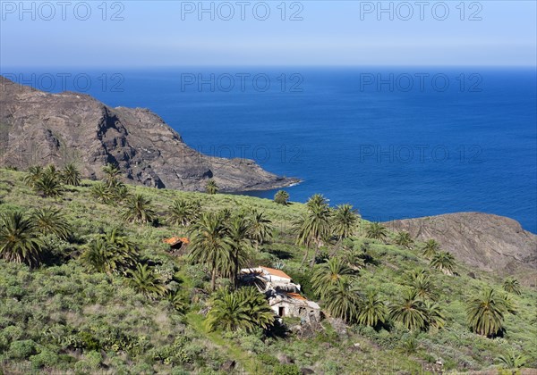 El Palmar near Hermigua