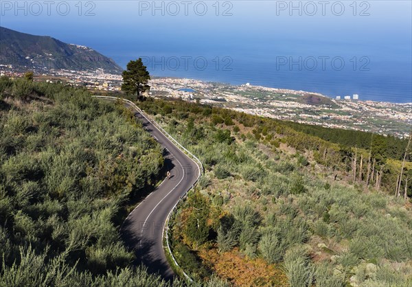 Mountain road Carretera del Teide