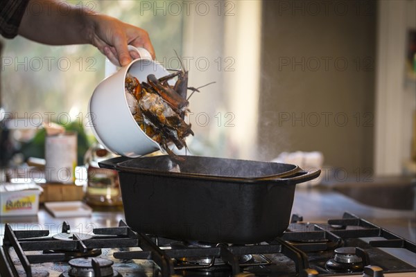 Cooking a lobster dish