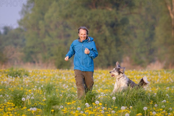 Man and dog (Canis lupus familiaris)