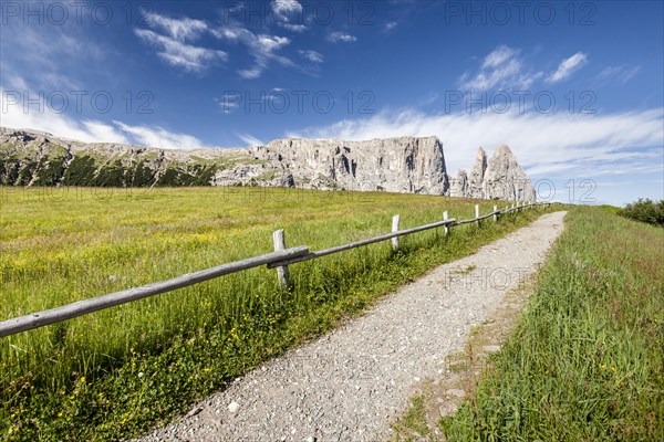 Seiser Alm in the Schlern-Rosengarten Nature Park