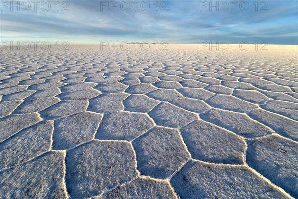 Honeycomb structure on Salar de Uyuni