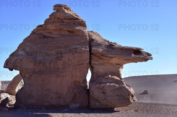 Turtle shaped rocks formed by wind erosion