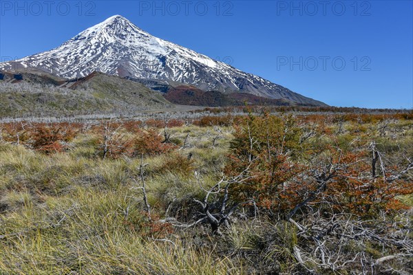 Snow covered volcano Lanin