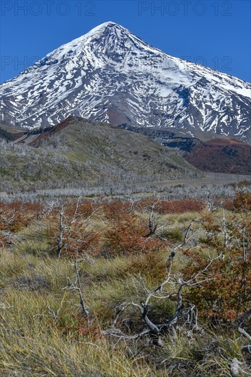 Snow covered volcano Lanin