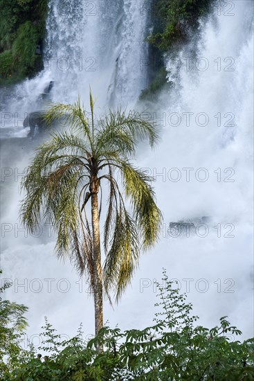 Falling water masses with palm trees