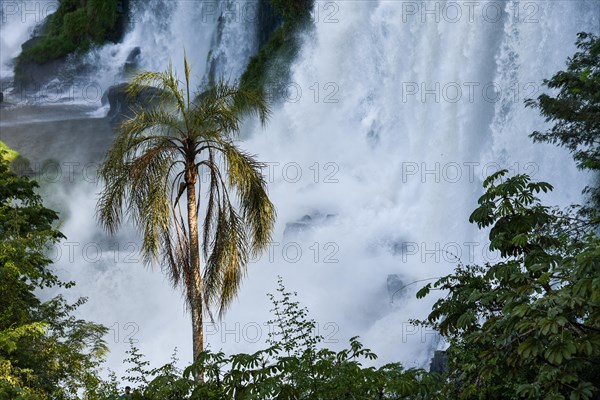 Falling water masses with palm trees