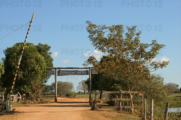 Transpantaneira road leading into the Pantanal