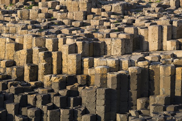 Basalt columns by the coast