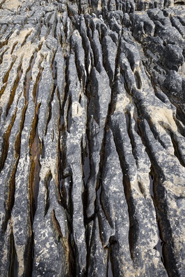 Weathered volcanic rock in the bay of Elgol