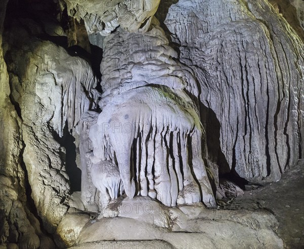 Stalagmite in the shape of an elephant