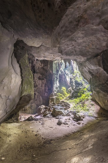 Stalactite cave in the jungle