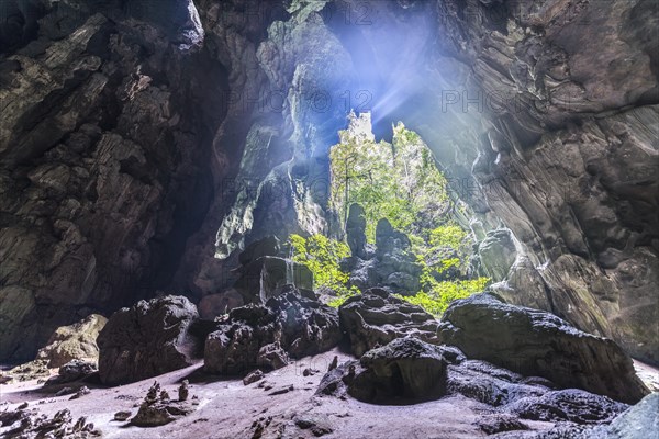 Stalactite cave in the jungle