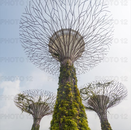 SuperTrees