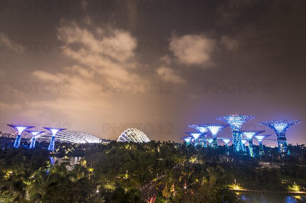 Illuminated SuperTrees at night