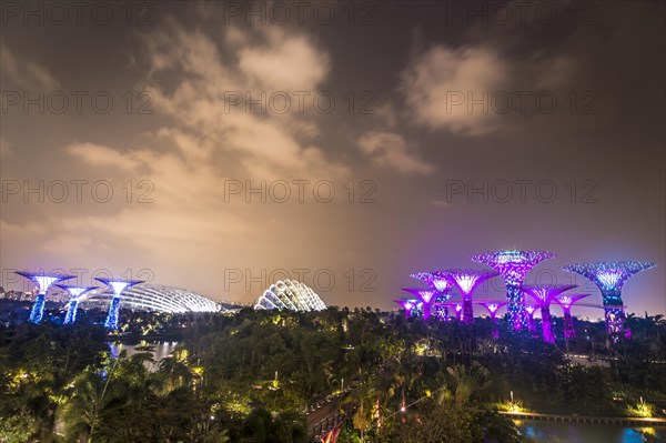 Illuminated Supertrees at night