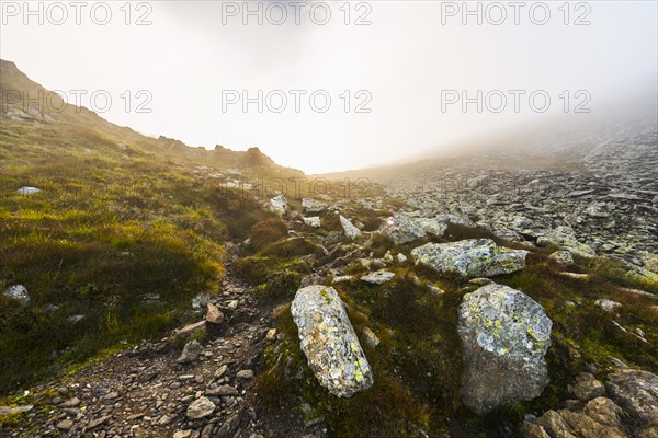 Mist beginning to appear