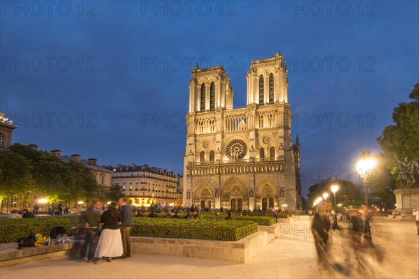 Notre Dame Cathedral at dusk