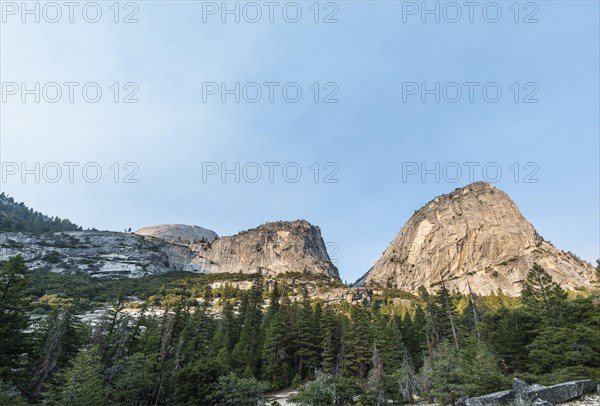 Liberty Cap