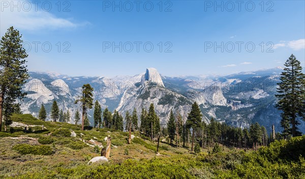 View into Yosemite Valley