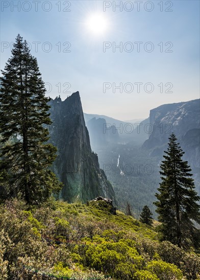 View into Yosemite Valley