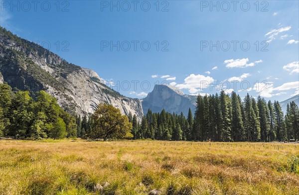 Marshland in autumn in Yosemite Valley