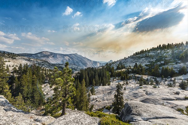 View into the High Sierra