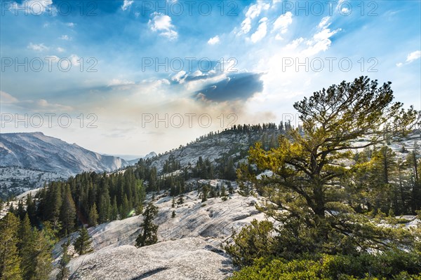 View in the High Sierra
