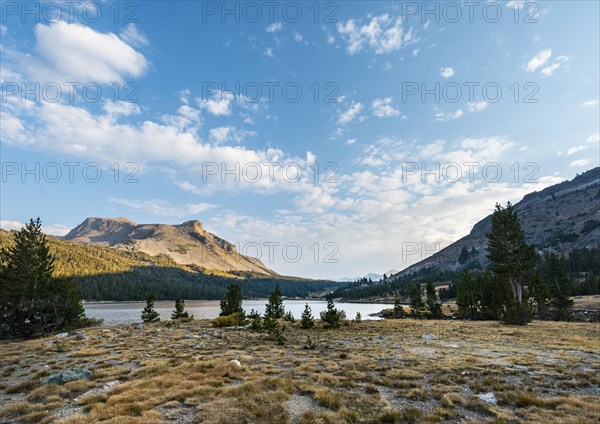 Lake Tioga