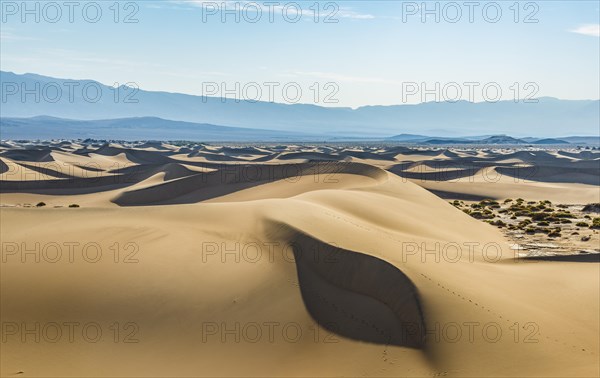 Mesquite Flat Sand Dunes