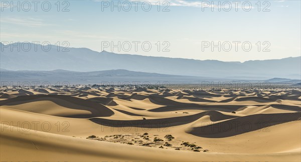 Mesquite Flat Sand Dunes