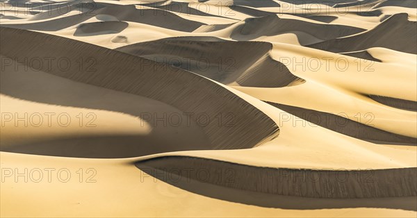 Mesquite Flat Sand Dunes