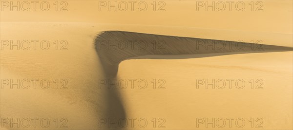 Mesquite Flat Sand Dunes