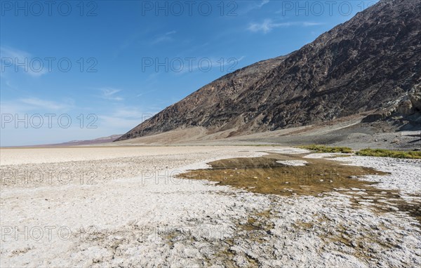 Salt crust on the salt pan of Badwater Basin