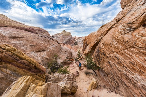 Red orange sandstone rock