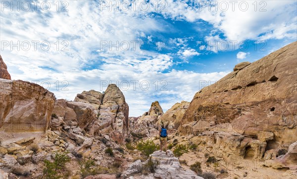 Red orange sandstone rock