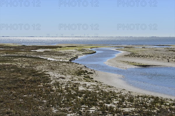 Narrow channel in alluvial land