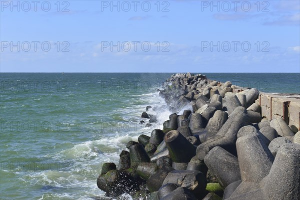 Tetrapods