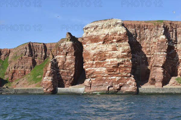 Rocky coast with red flint