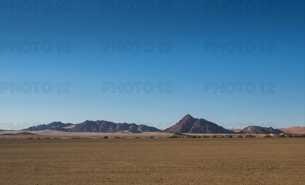 Namib Desert