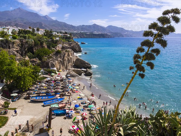 Beach Playa Calahonda