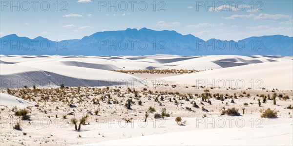 Sand dunes