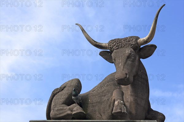 Ox sculpture from 1599 on the Fleischbrucke bridge