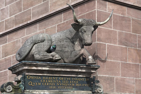 Ox sculpture from 1599 on the Fleischbrucke bridge