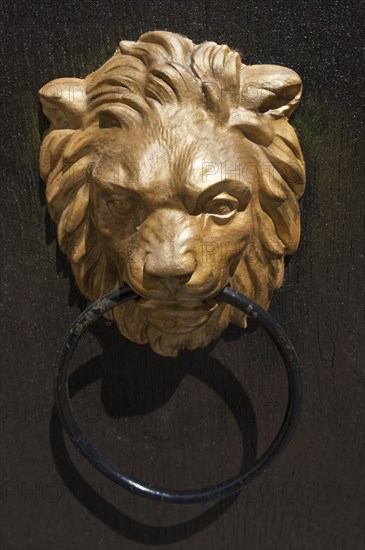 Gilded lion head as door knocker