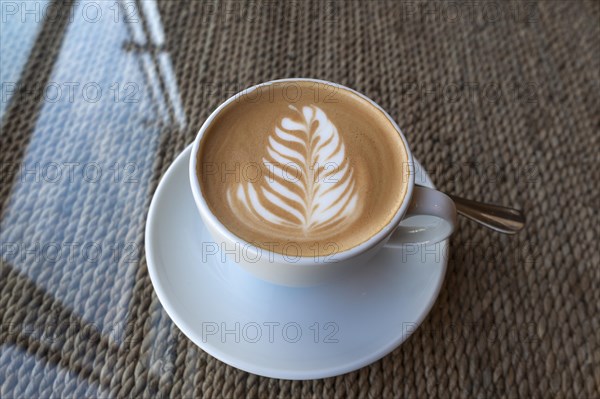 Cappuccino with milk froth